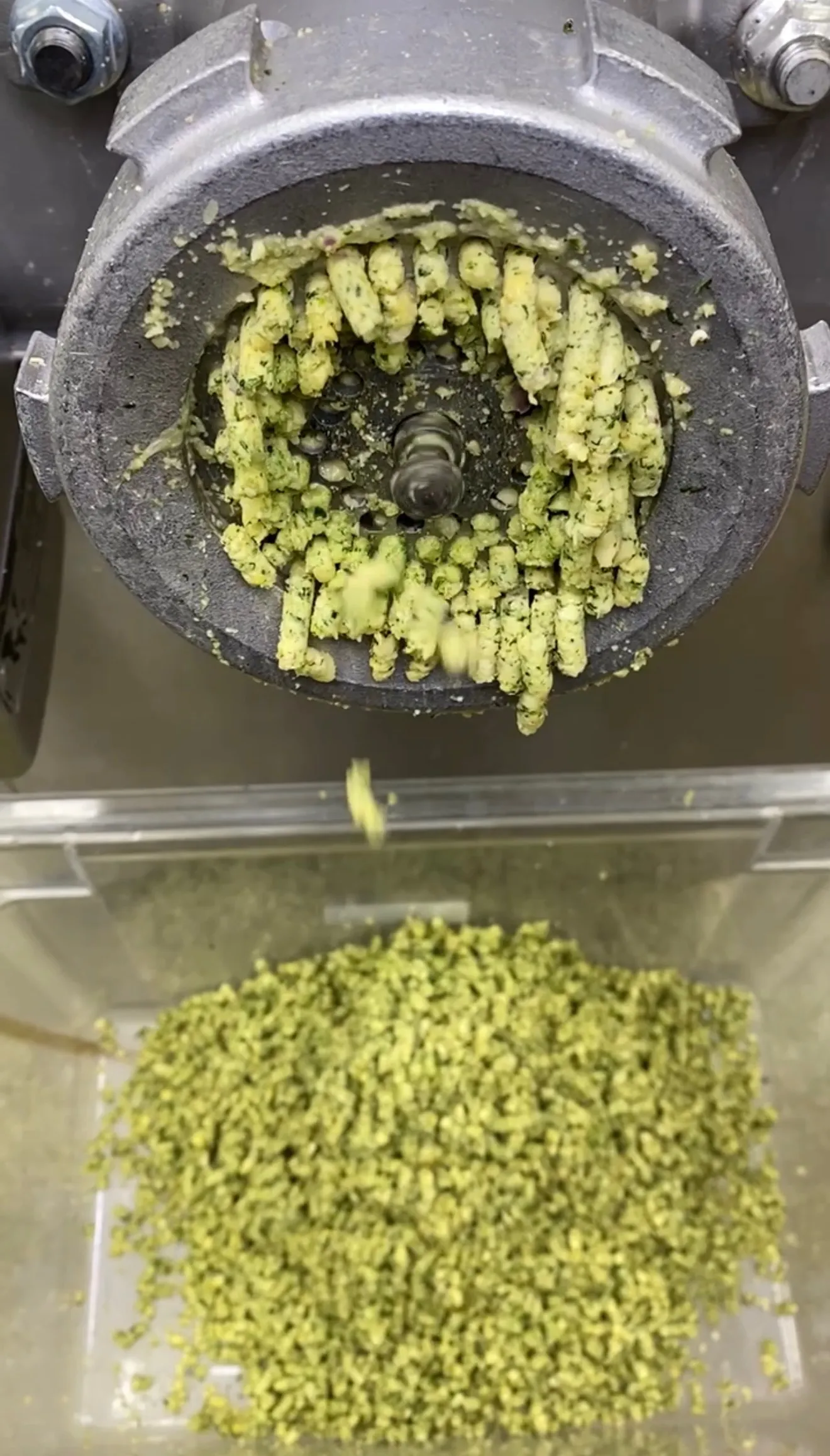 Falafel mixture in food processor with ground chickpeas and herbs