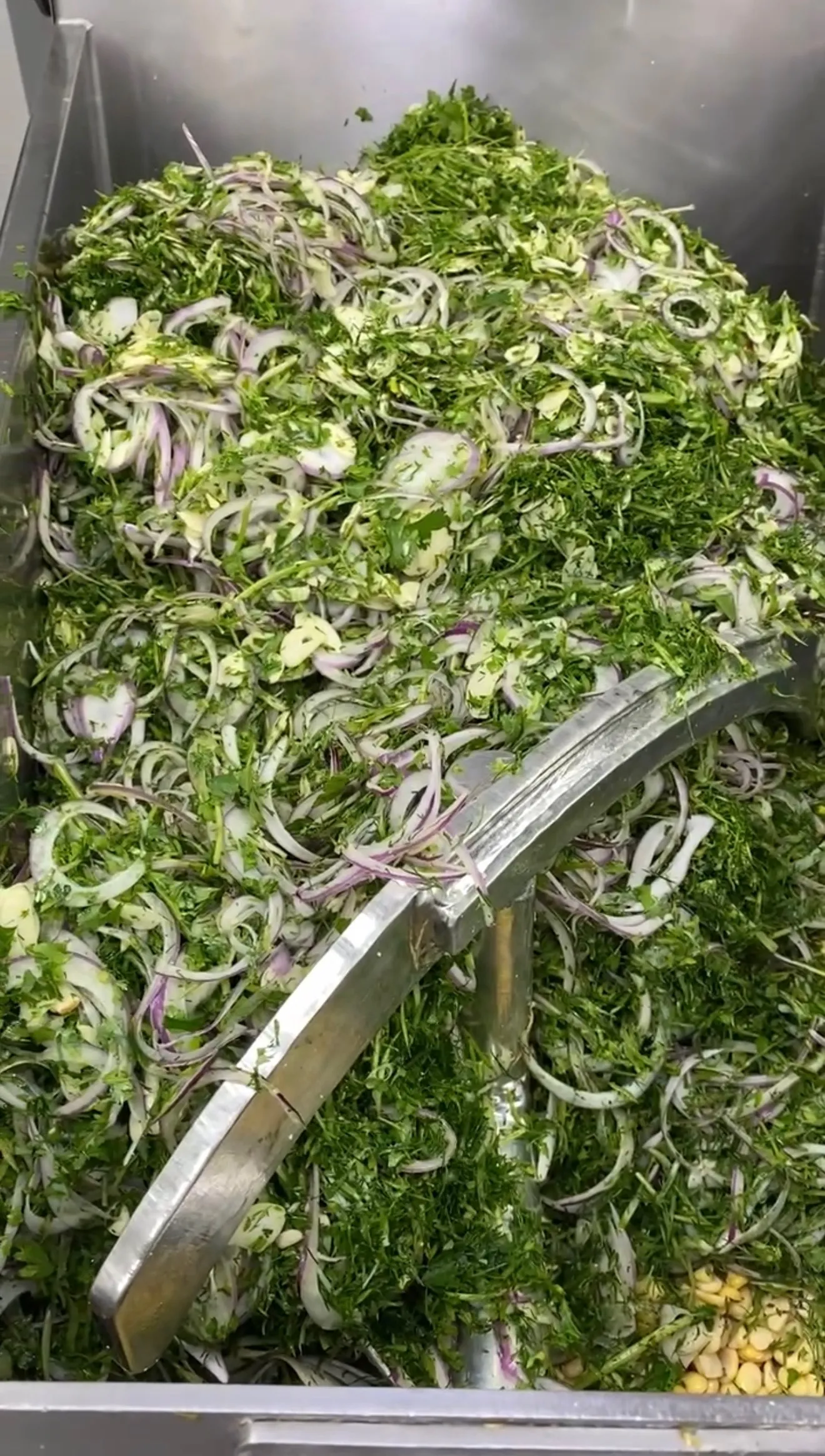 Fresh chopped herbs and onions prepared for falafel mixture