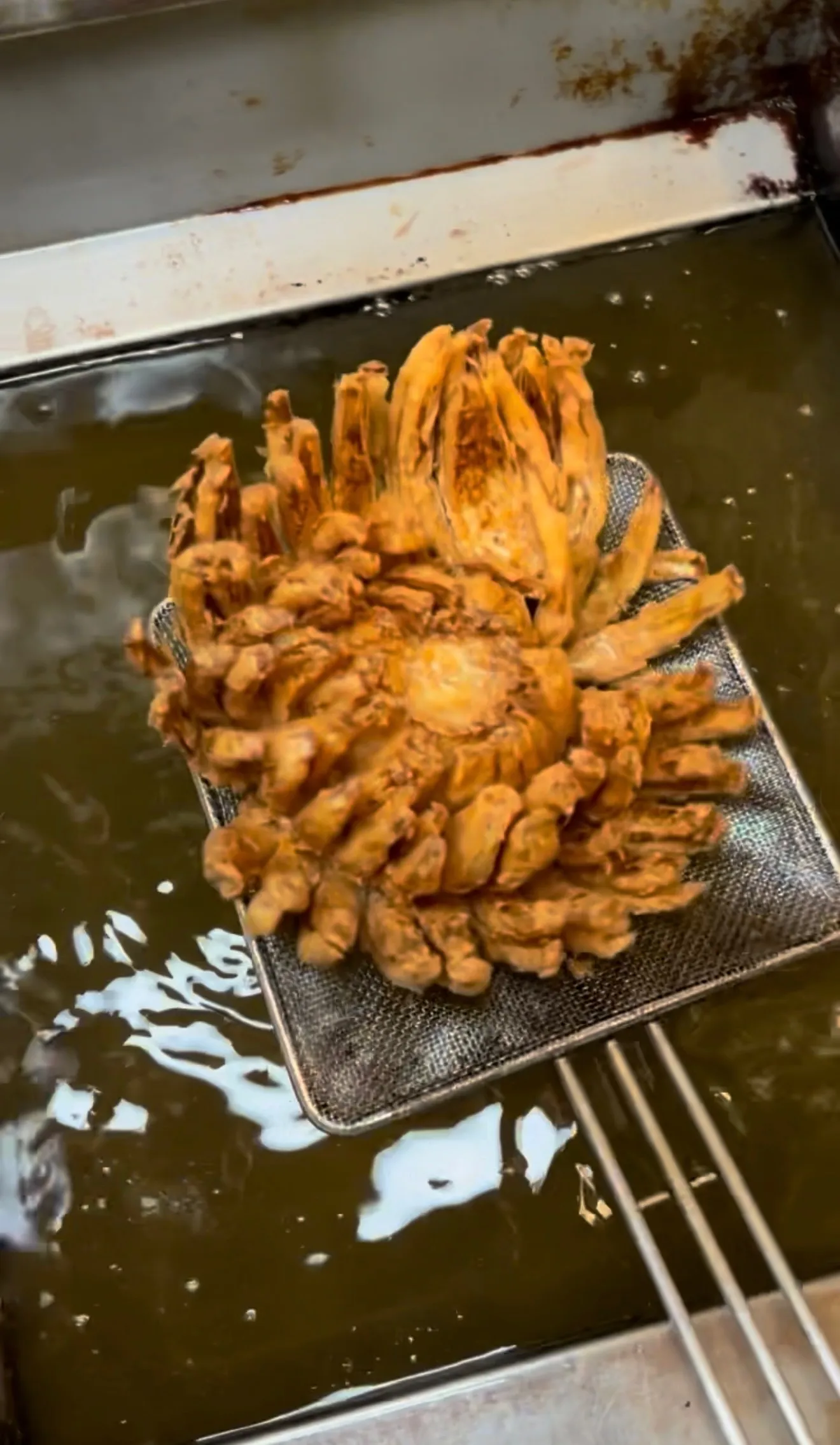 Golden fried blooming onion draining on a mesh basket