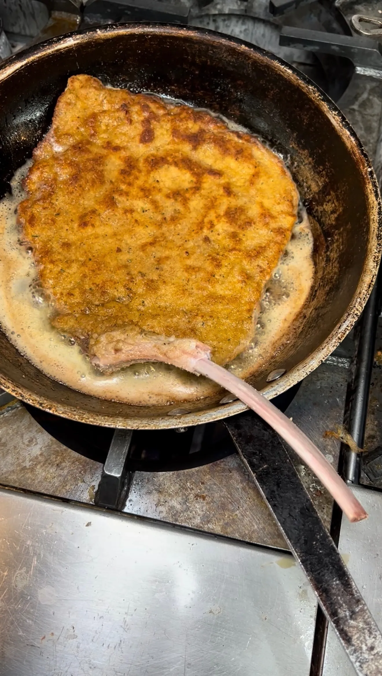 Golden breaded veal chop parmigiana sizzling in a frying pan