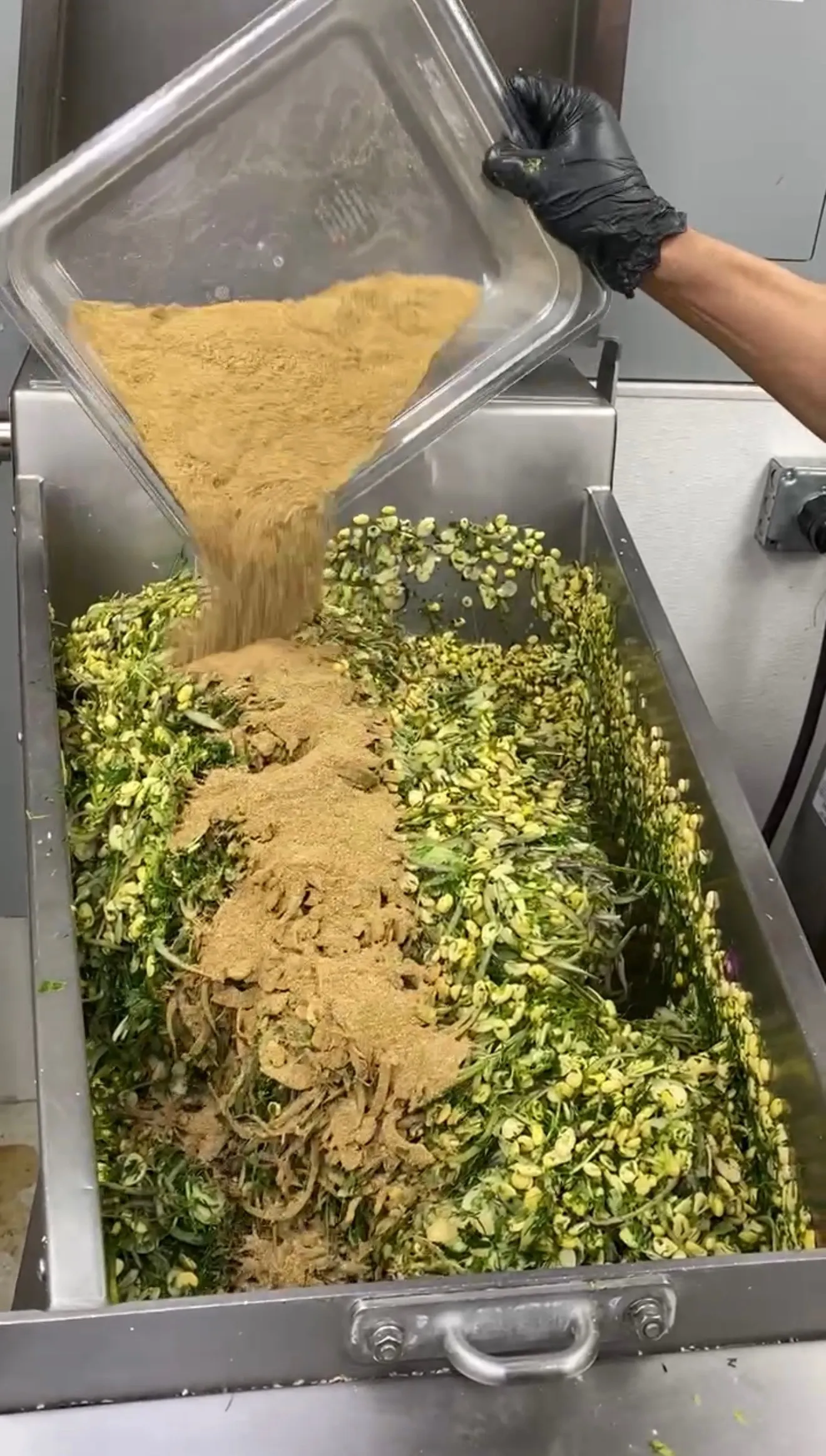 Mixing falafel ingredients with herbs and chickpea flour