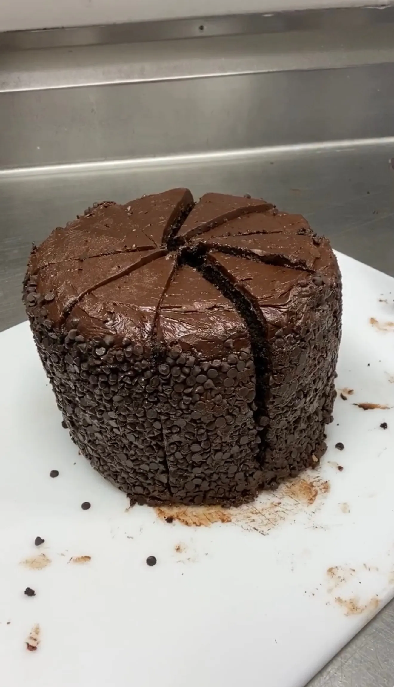 Great Wall of Chocolate cake with chocolate chips pressed into the ganache exterior